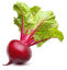 Beetroot = चुकंदर
