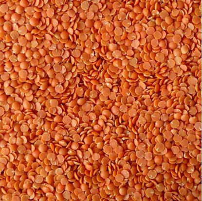 Red Lentil = मसूर की दाल
