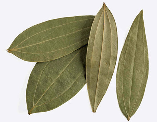 Bay Leaf = तेज पत्ता