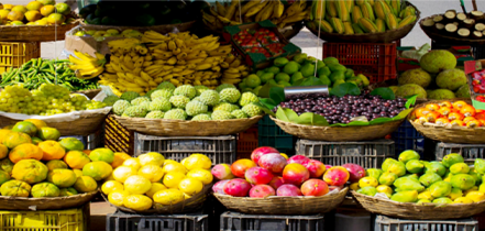 Organic Fruit
