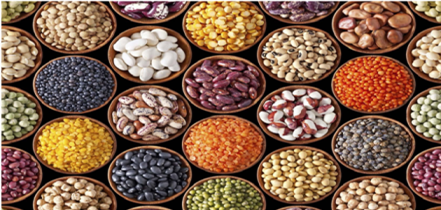 Organic Pulses & Grains